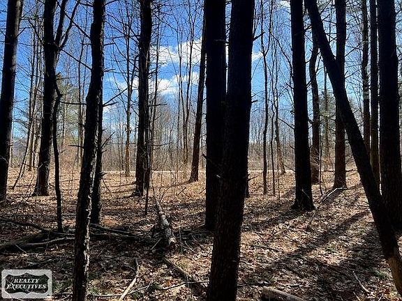 4th image of 0 Burton Rd