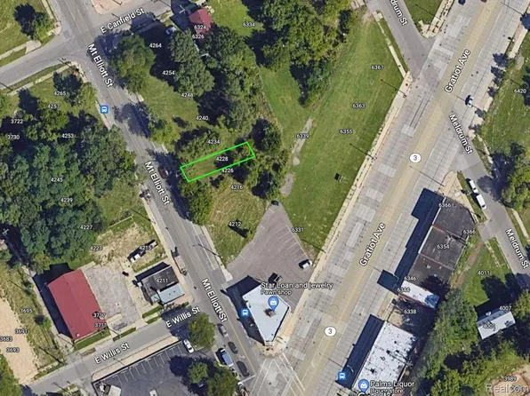 4228 Mount Elliott St, Detroit, MI 48207