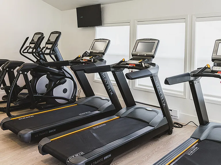 Elliptical or treadmill for a quick cardio session