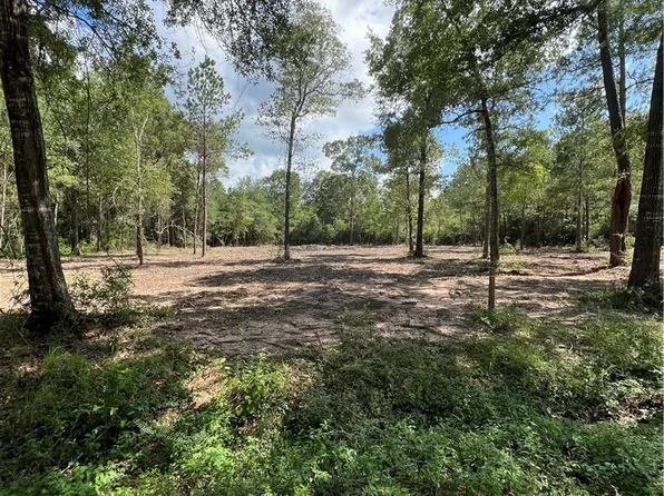 LOT 3 Deerwood Dr, Plantersville, TX 77363