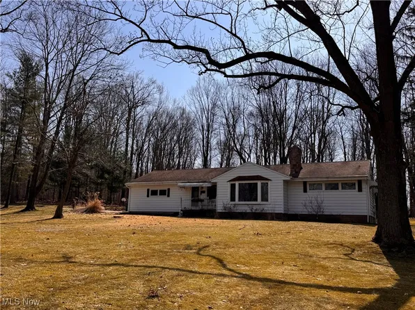 8350 Alpine Dr, Kirtland, OH 44094