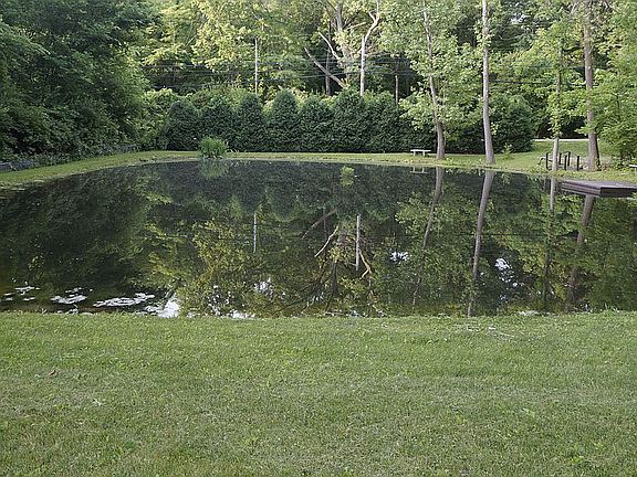 Pond