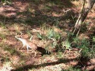 Palmetto Rd, Magnolia, TX 77354