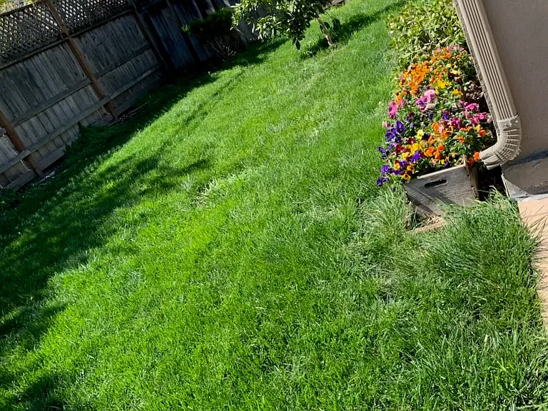 Sunny Vista Dr — Photo 19