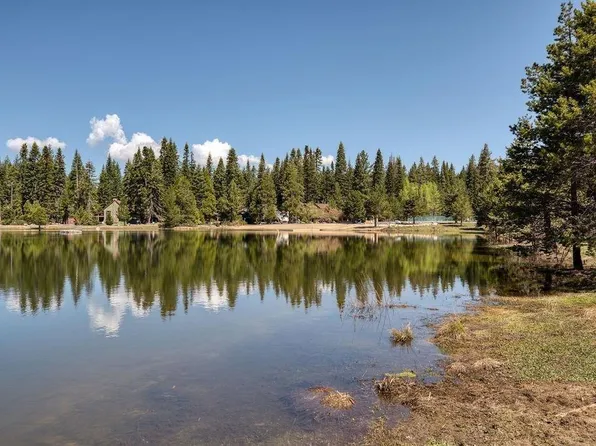 33998 Leland Meadow Rd, Pinecrest, CA 95364