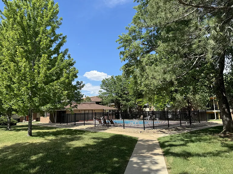 Pool and surrounding area