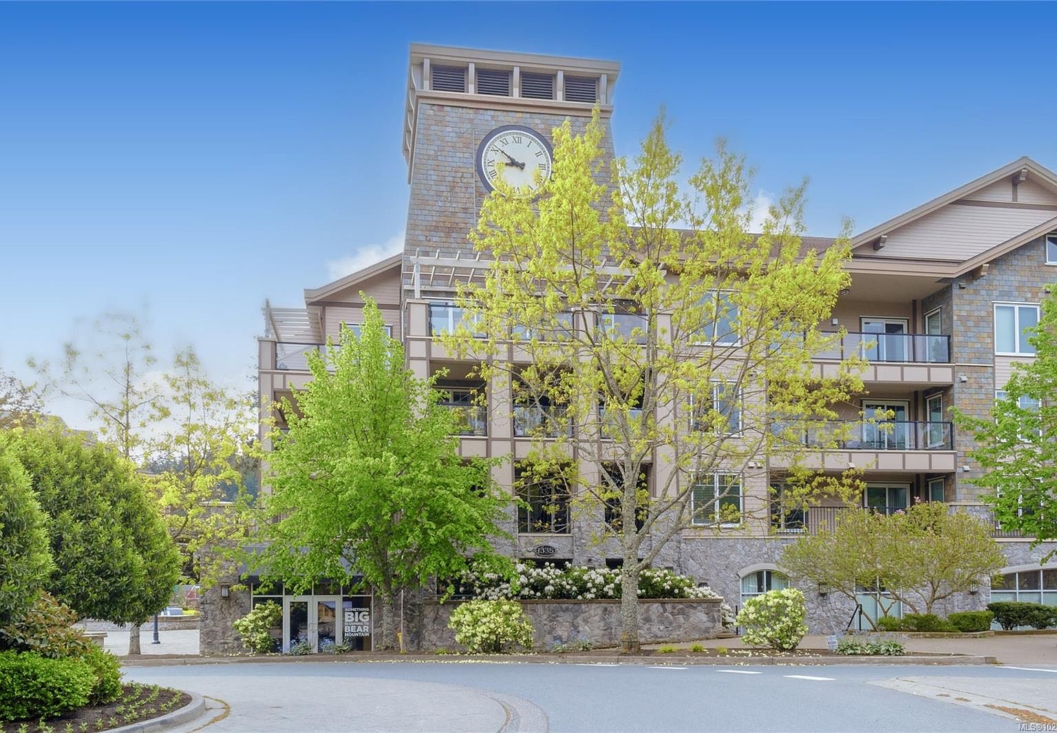 1335 Bear Mountain Pkwy #207