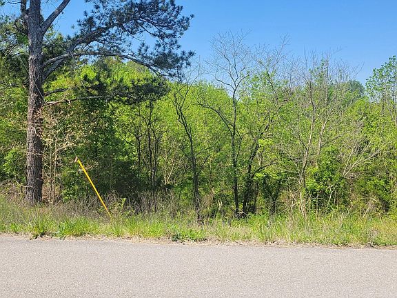 3rd image of 125 Point Oak Dr Lot 72