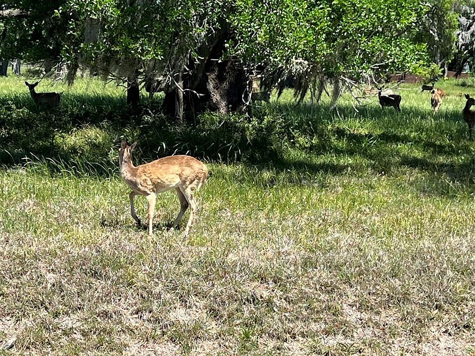 1st image of 131 Hidden Horse Trl