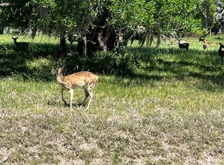 131 Hidden Horse Trl, Angleton, TX 77515