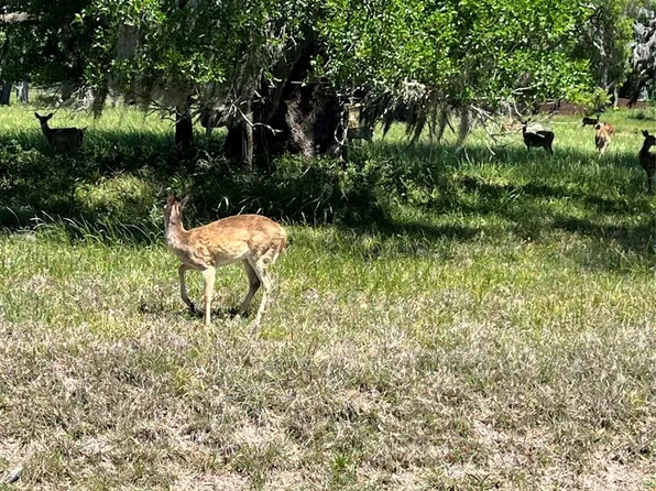 131 Hidden Horse Trl, Angleton, TX 77515