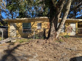 8713 N Mandarine Pl, Tampa, FL 33617