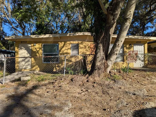 8713 N Mandarine Pl, Tampa, FL 33617