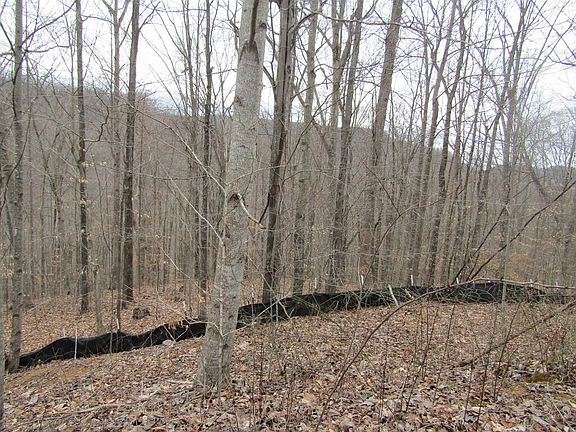 4th image of 60 W Bobcat Ln