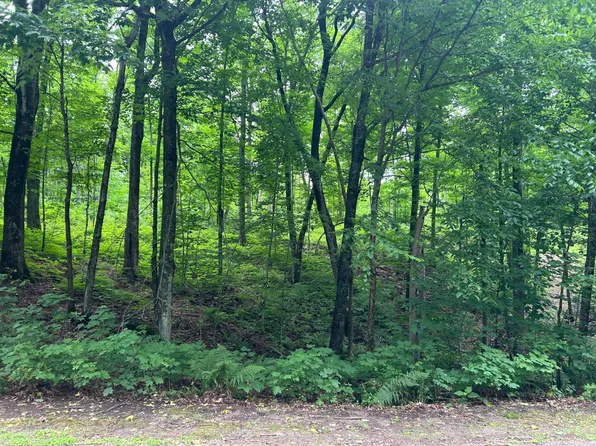 Maple Rd, Antigo, WI 54409