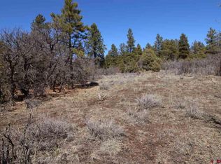 501 Doc Adams Rd, Pagosa Springs, CO 81147