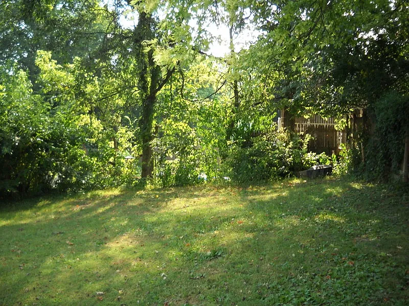 1 bed, $1,200 — Photo 4