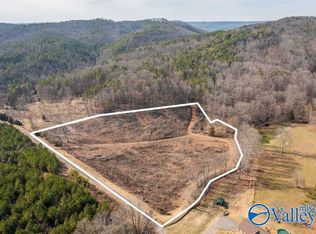 6 Little Wills Valley Rd, Attalla, AL 35954