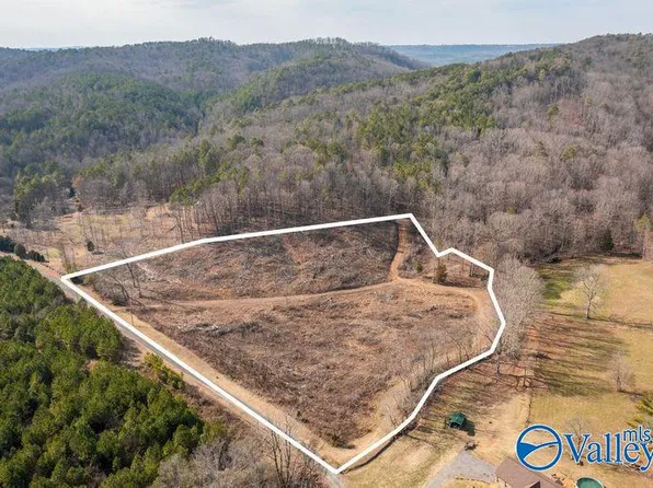 6 Little Wills Valley Rd, Attalla, AL 35954