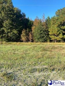 Dragon Rd, Salters, SC, 29590