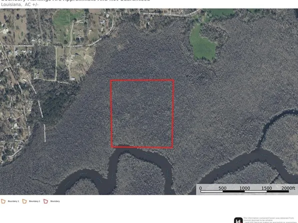 Boss McNabb Rd, Livingston, LA 70754