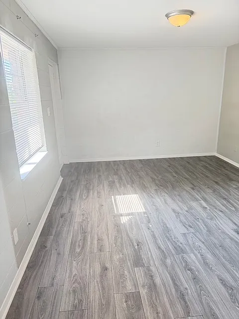 1 bed, 500 sqft, $919 — Photo 4