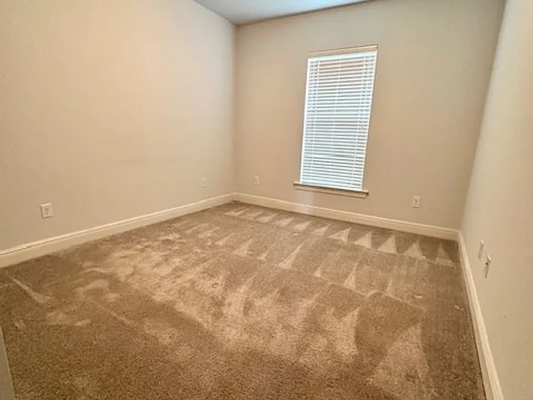 101 Lexi Falls Ln — Photo 10