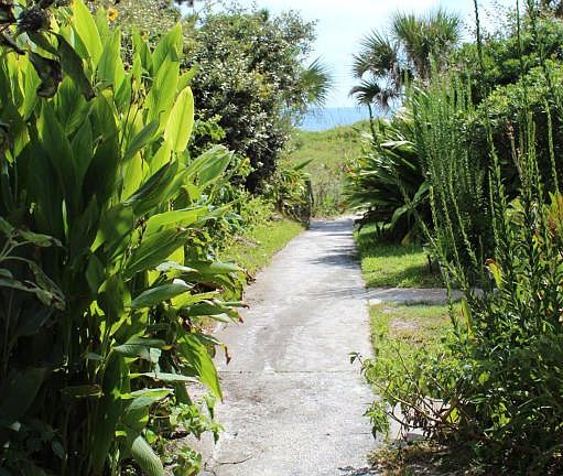 Pathway to beach