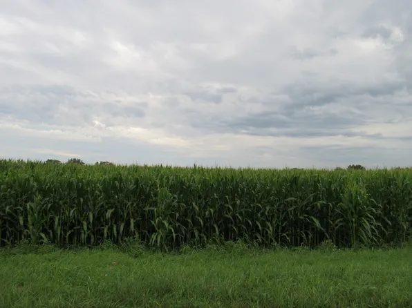 Road W Cooper Rd, Wilmington, IL 60481