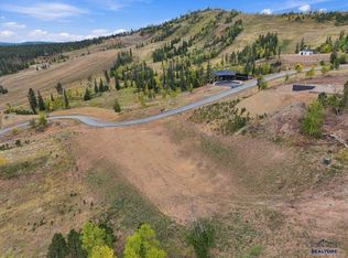 10 Deer Mountain Rd, Lead, SD 57754