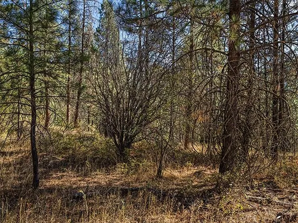Raven Ridge Way, Nine Mile Falls, WA 99026