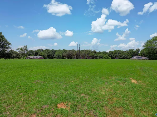 340 County Road 379, Trinity, AL 35673
