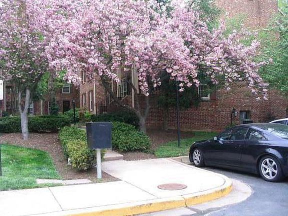 permit parking and visitor's parking. Beautiful landscaping.