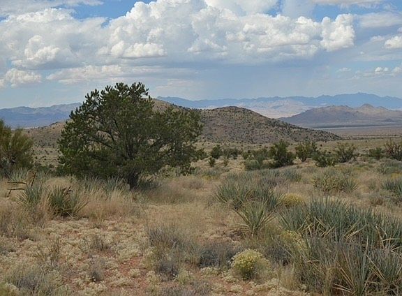 4th image of Corral Rd