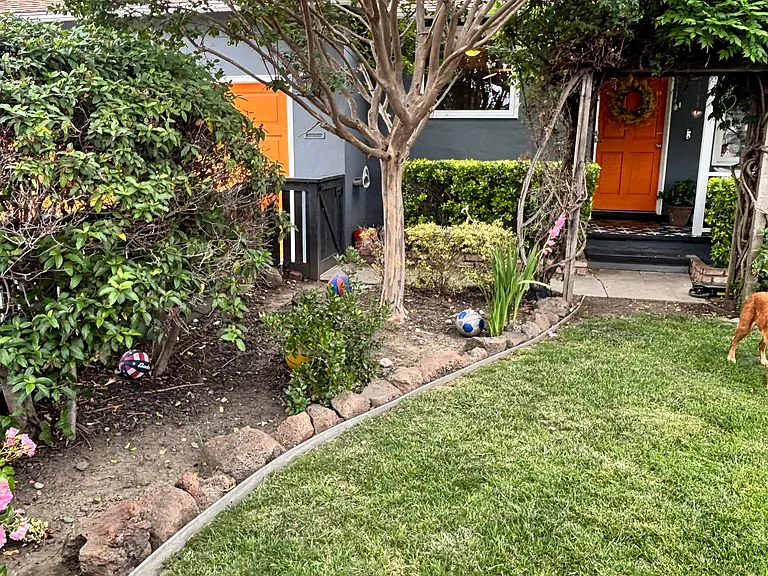 172 Wisteria Dr — Photo 41