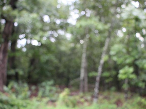 4th image of 001-02314 Green Forest Trl #1