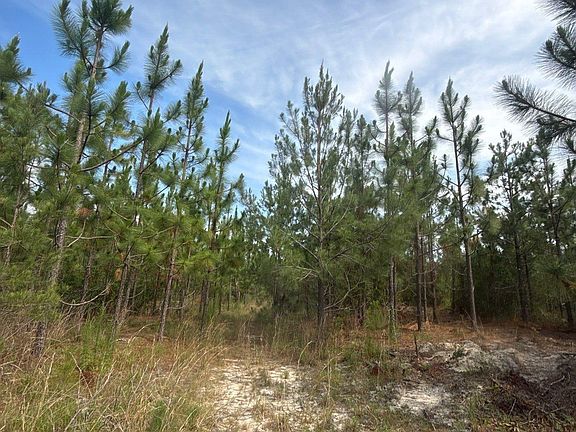 4th image of Mpf 1 Mount Pisgah Road 1 #Mpf