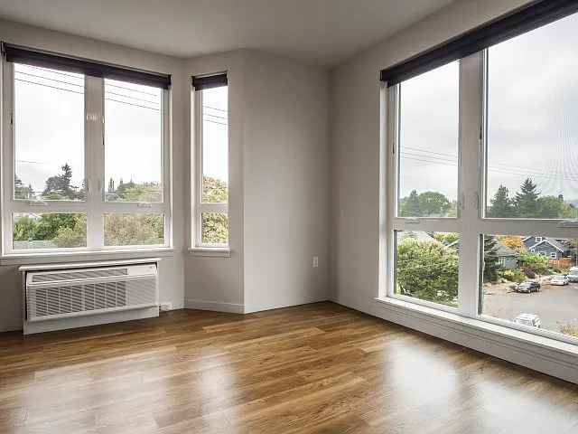 Large Windows