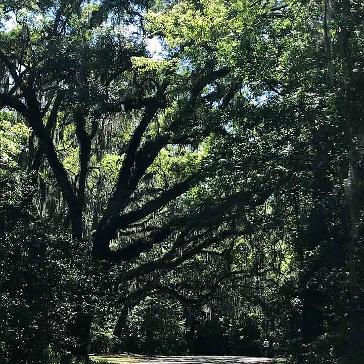 1st image of 0 Country Club Dr