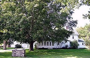 Front Ext Facing the Stre