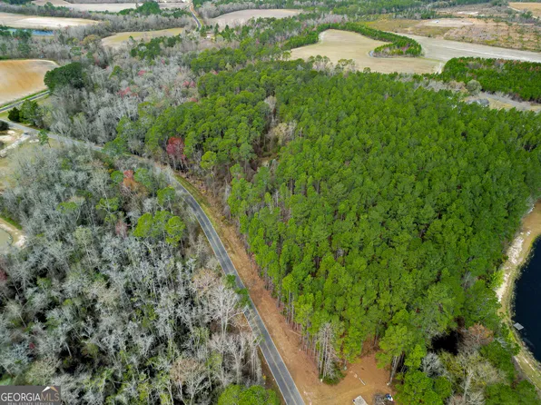 0 Wayne Jones Rd, Baxley, GA 31513