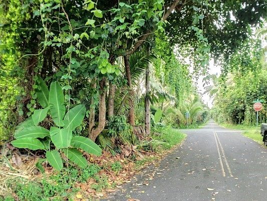1st image of Kehena Beach Ests Lot 1