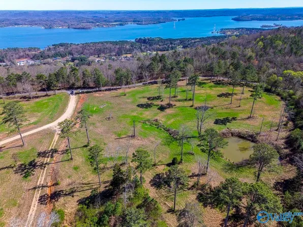 7 McCorkle Mountain Rd, Scottsboro, AL 35769