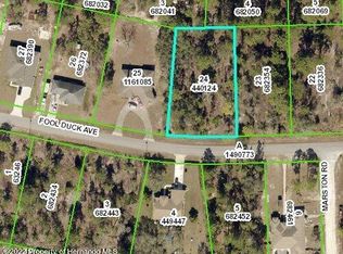 0 Fool Duck Ave, Brooksville, FL 34613