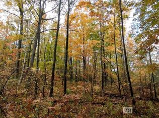 Wieman Rd, Gladwin, MI 48624