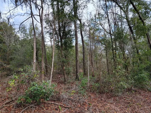 0 NE 21st Ct, Citra, FL 32113