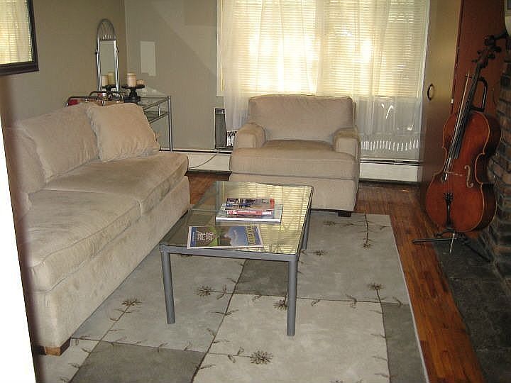 LIVING AREA WITH DECO FIREPLACE & MURPHY BED
