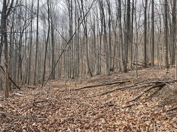 0 Nemmo Rd #7, Vinton, VA 24179
