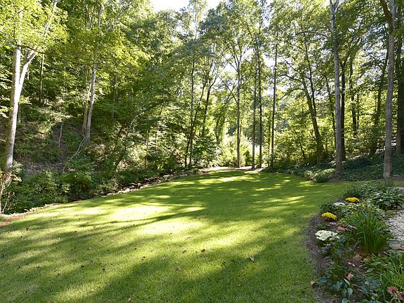 Large Level Back Yard