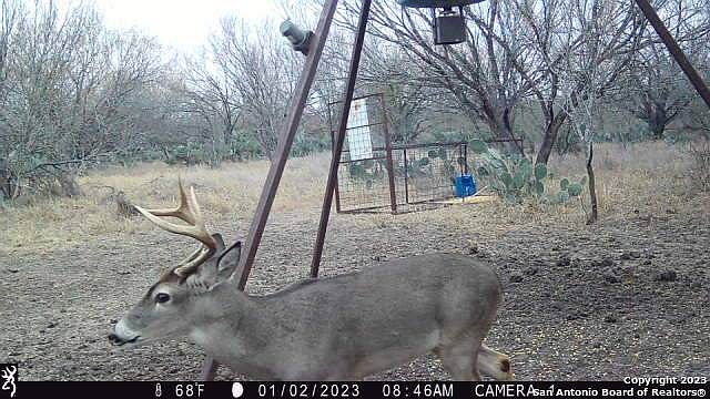 1st image of 385 County Road 334